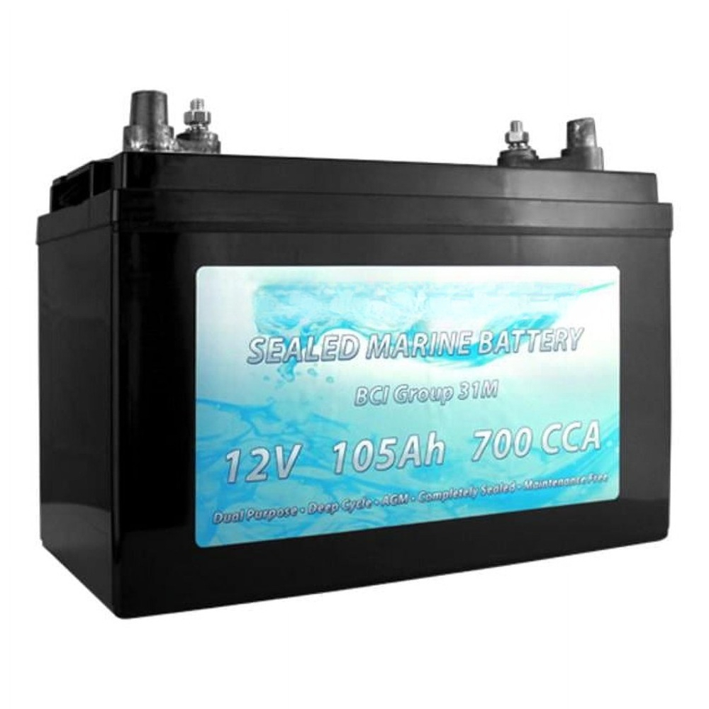 BCI Group 31M Dual Purpose Dee – Agm Deep Cycle Battery recenzja i cena