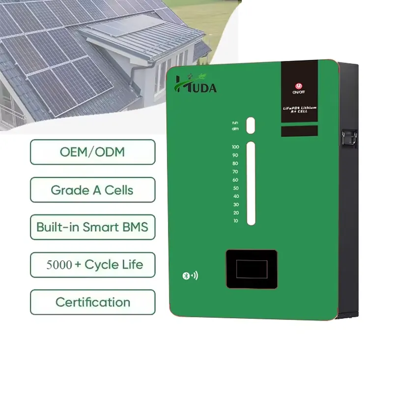 High Capacity 5kWh LiFePO4 Lit – Lithium Battery 100Ah recenzja i cena